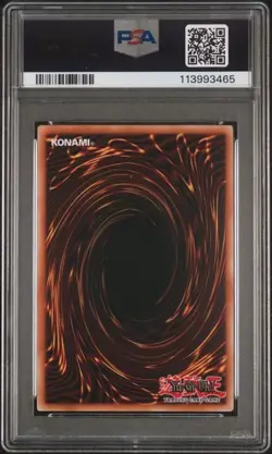 Yugioh Duel Link Dragon, The Duel Dragon YCSW-EN012 Super Rare NM-MT PSA 8 - Image 2