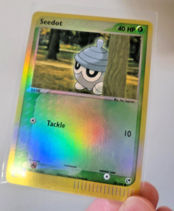 3 Pokemon Card Lot - 2003 E-READER HOLOS!! Mudkip (59), Seedot (77), Onix (71) - Image 4