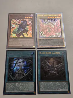 Black Rose Garden DOOD-EN055 + Black Rose Dragon Prismatic Ultimate Rare Yugioh - Image 1