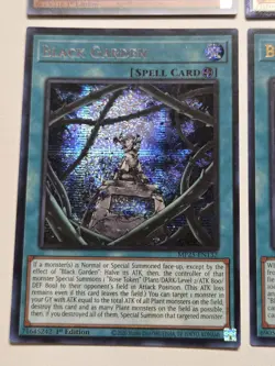 Black Rose Garden DOOD-EN055 + Black Rose Dragon Prismatic Ultimate Rare Yugioh - Image 2