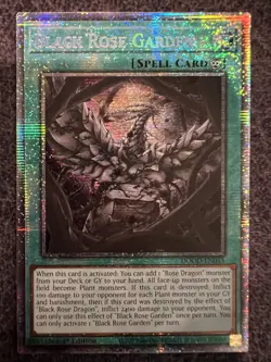Yugioh Black Rose Garden DOOD-EN055 Starlight Rare 1st Edition NM - Image 1