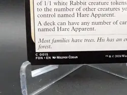 Hare Apparent Foundations Regular - Image 2