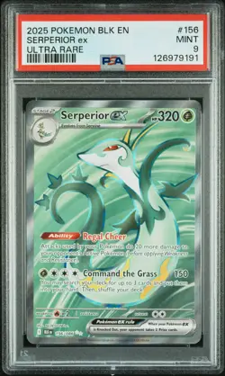 2025 POKEMON BLK EN-BLACK BOLT ULTRA RARE #156 SERPERIOR EX PSA 9 - Image 1