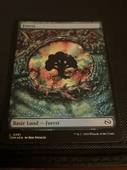 Magic the Gathering Forest Full Art Dragon Eye Land Tarkir Dragonstorm NM - Image 1