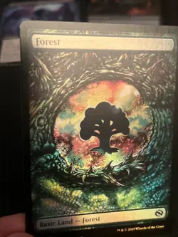 Magic the Gathering Forest Full Art Dragon Eye Land Tarkir Dragonstorm NM - Image 3