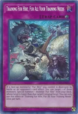 Training Fur Hire, Fur All Your Training Needs - DASA-EN026 - Secret Rare - 1st - Image 1