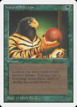 MTG Natural Selection Unlimited Magic the Gathering - Image 1