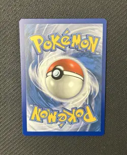 Pokemon TCG Mudkip 19/25 Holo 25th Anniversary McDonald’s Promo NM - Image 2