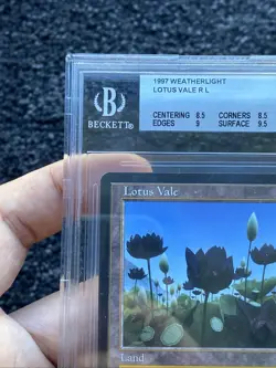 MTG Lotus Vale Weatherlight Beckett BGS 8.5 Subs 8.5/9/8.5/9.5 NM-M+ Magic Card - Image 4
