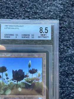 MTG Lotus Vale Weatherlight Beckett BGS 8.5 Subs 8.5/9/8.5/9.5 NM-M+ Magic Card - Image 5