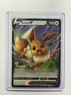 Eevee Jolteon Evolutions Collection 2 Card Set Pokemon TCG - Image 2