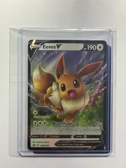 Eevee Jolteon Evolutions Collection 2 Card Set Pokemon TCG - Image 4