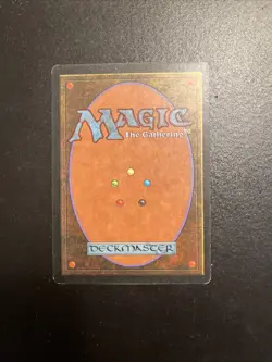 Enlightened Tutor Mirage Regular - Image 3