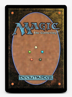 Mountain (265) (Borderless) - [Edge of Eternities] MTG Magic NM/M 🔥 - Image 2