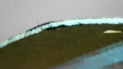 MTG BRAINGEYSER (Ink) Alpha (OldManMTG 011-170) - Image 5