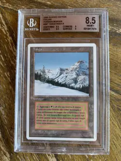 MTG FWB Taiga, Italian, BGS 8.5, Graded, Foreign White Border - Image 1