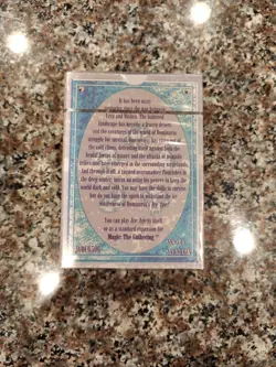 Wizards of the Coast Magic: The Gathering Ice Age Starter Deck 792491047595 - Image 2
