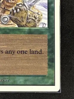 Magic: The Gathering Unlimited Edition Ice Storm LP #202 MTG - Image 3