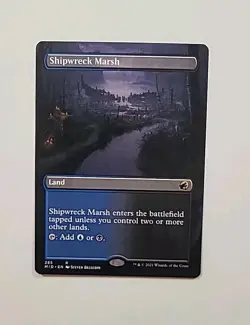 Shipwreck Marsh MID MTG 285 BORDERLESS RARE M/NM 1x - Image 1