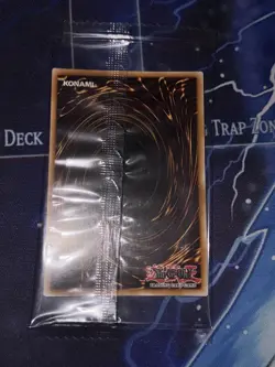 Token: Akiza & Black Rose Dragon TKN5-EN008 The Infinite Forbidden Unlimited - Image 2