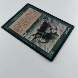 MTG Survival of the Fittest 적자생존 Exodus Korean Magic The Gathering Card $0 Ship - Image 3