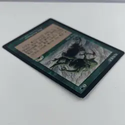 MTG Survival of the Fittest 적자생존 Korean Exodus Magic Card Shipping Included - Image 4