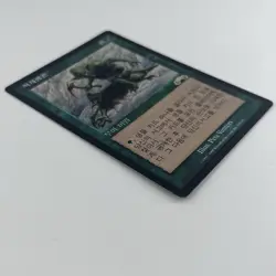 MTG Survival of the Fittest 적자생존 Korean Exodus Magic Card Shipping Included - Image 5