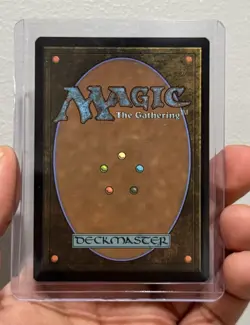 MTG Magic Multiversal Passage 206 Borderless Spiderman - Image 2