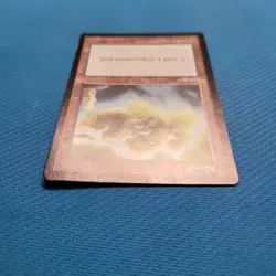 Mtg Apac Land Transparent 1997 English Wizards of the Coast Used F/S from Japan - Image 4