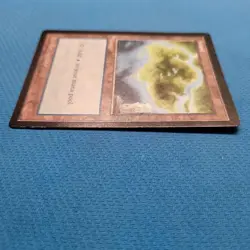 Mtg Apac Land Transparent 1997 English Wizards of the Coast Used F/S from Japan - Image 5