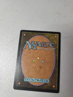 1x Dragon's Maze Melek, Izzet Paragon MTG Magic the Gathering LP Free Shipping - Image 2