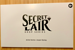 MTG Secret Lair: Artist Series: Jesper Ejsing REGULAR (non-holo) - Sealed - Image 1