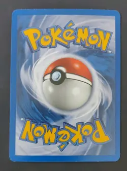 Eevee #11 Holo Black Star Promo, 2000 Vintage Pokemon TCG, NM - Image 3