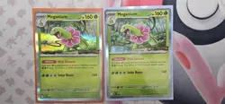 Meganium Build and Battle Promo MEP001 - Pokemon Mega Evolutions - Image 1