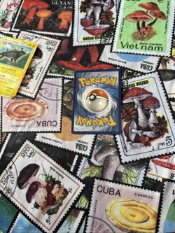 Litten - (General Mills Promo) SM02 Miscellaneous Cards & Products Holo - Image 5