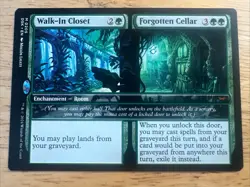 MTG Walk-In Closet // Forgotten Cellar (205) | NM | Duskmourn (DSK) - Image 1
