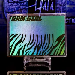 Waifu Card Premium Framed Holo Foil HP Rare ACG Private Girl HP-8 - Image 3