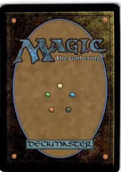 MTG Swashbuckler's Whip The Lost Caverns of Ixalan Uncommon #263 - Image 2