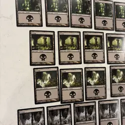 Magic the Gathering MTG Duel Decks: Garruk Vs Lilliana Swamps 24 - Image 2
