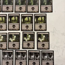Magic the Gathering MTG Duel Decks: Garruk Vs Lilliana Swamps 24 - Image 3