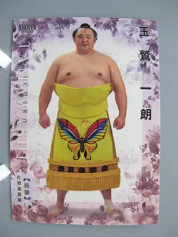 Tamawashi Ichiro Sumo TCG Card Hana Japanese Pro Sumo Pop Japan BBM 2022 F/S - Image 1
