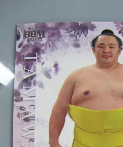 Tamawashi Ichiro Sumo TCG Card Hana Japanese Pro Sumo Pop Japan BBM 2022 F/S - Image 2