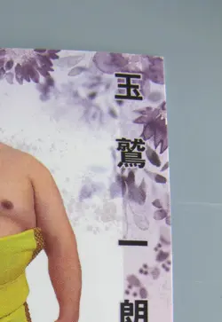 Tamawashi Ichiro Sumo TCG Card Hana Japanese Pro Sumo Pop Japan BBM 2022 F/S - Image 3