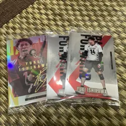 Volleyball JVA Twin Wafers Japan National Team Trading Card Individual Card - Image 1