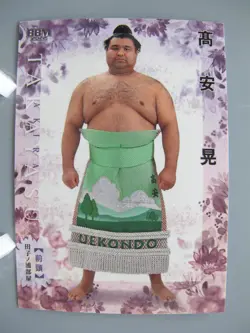 Takayasu Akira Sumo TCG Card Hana Japanese Pro Sumo Pop Japan BBM 2022 F/S - Image 1