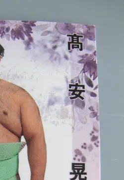 Takayasu Akira Sumo TCG Card Hana Japanese Pro Sumo Pop Japan BBM 2022 F/S - Image 3