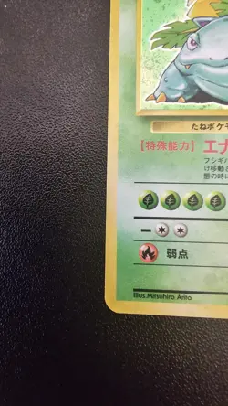 Pokemon Venusaur Holo Rare Base Set #003 Japanese Old Back NM *SWIRL* - Image 3