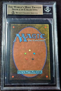 Taiga BGS 9.5 GEM MINT - 9.5++ (x2 10's) - Revised 3rd Edition MTG - Rare - Image 4