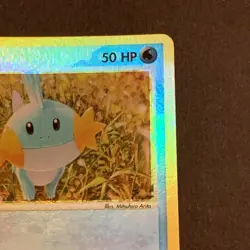 Mudkip 59/109 2003 EX Ruby & Sapphire Pokemon Card Reverse Holo Common - Image 4
