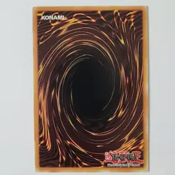 Paleozoic Cambroraster - LIOV-EN047 - LP - Common - 1st ed - Yugioh - Image 2